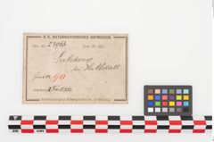 Etiketten zu Bronzebrillenfibel (NHMW-PRAE-023966)